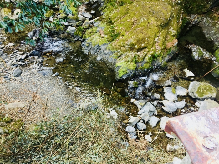 d0179518_10532330.jpeg