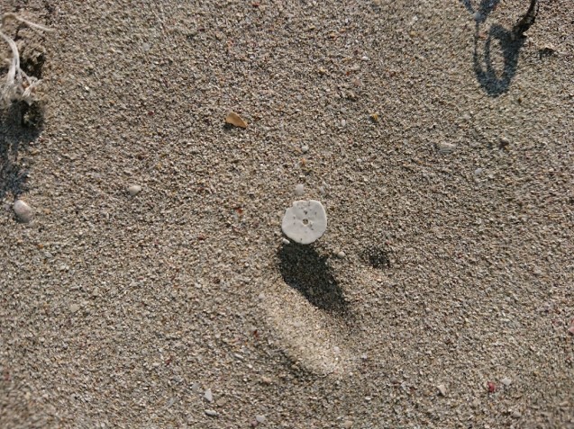 b0211925_10330923.jpg