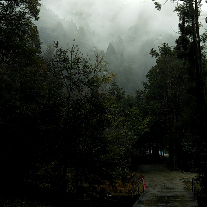 a0248230_14205534.jpg