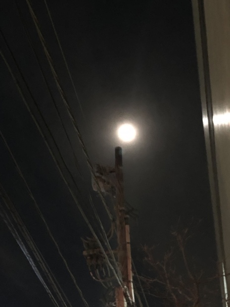 f0038336_07322900.jpeg