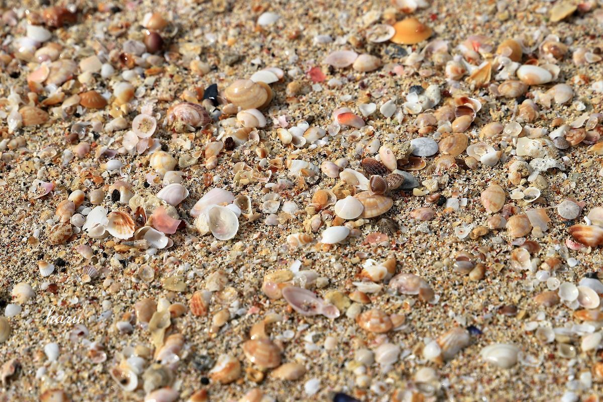 f0297537_09192640.jpg