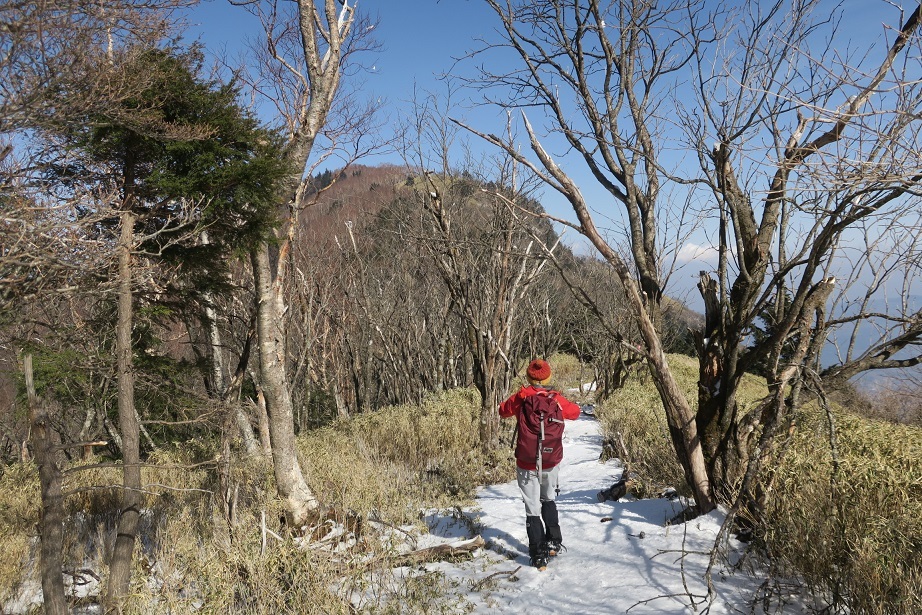 毛無山から雨ヶ岳_a0286351_23132833.jpg