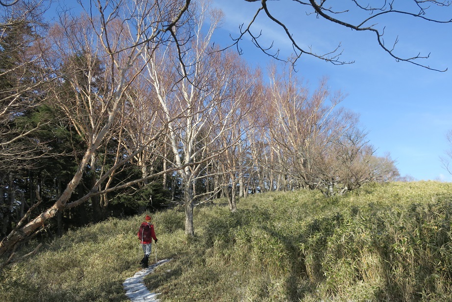 毛無山から雨ヶ岳_a0286351_23132884.jpg