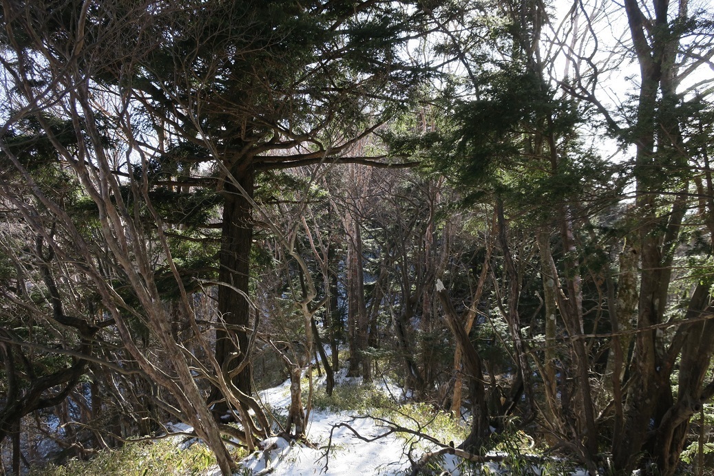 a0286351_23132965.jpg
