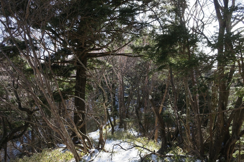 毛無山から雨ヶ岳_a0286351_23132965.jpg