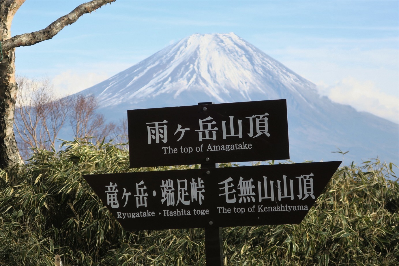 毛無山から雨ヶ岳_a0286351_23142408.jpg