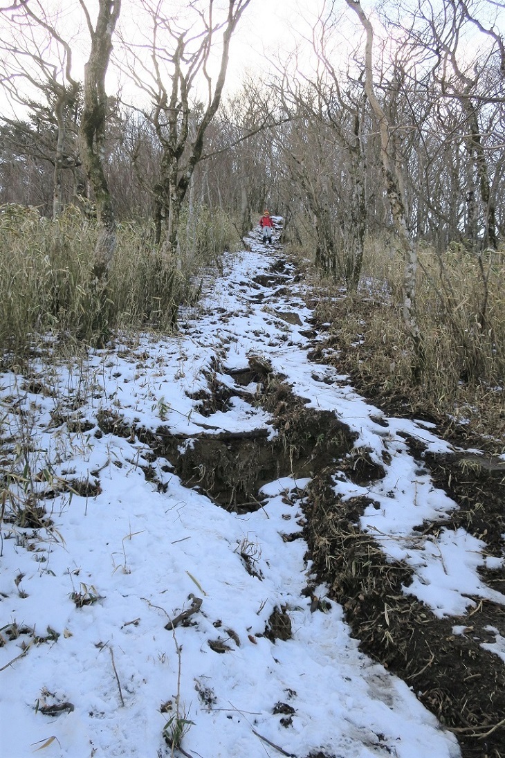 毛無山から雨ヶ岳_a0286351_23142438.jpg