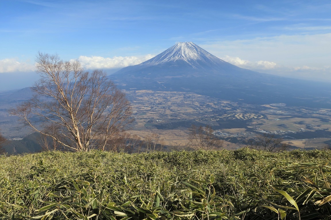 毛無山から雨ヶ岳_a0286351_23142559.jpg