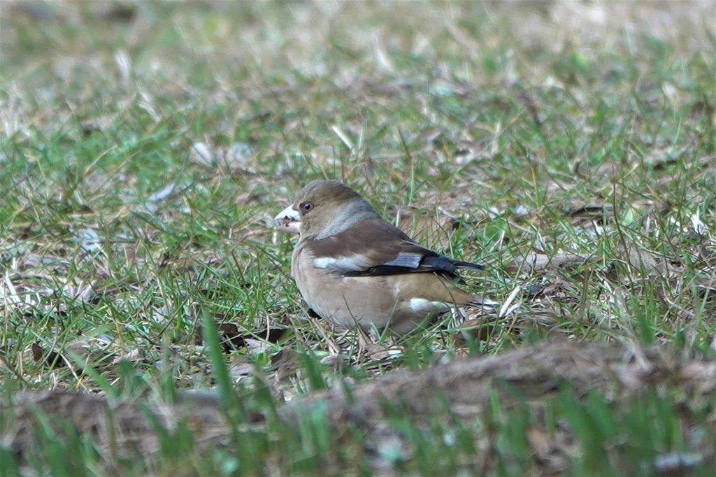 b0236251_14533380.jpg
