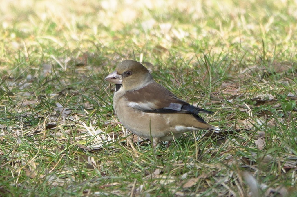 b0236251_14551126.jpg