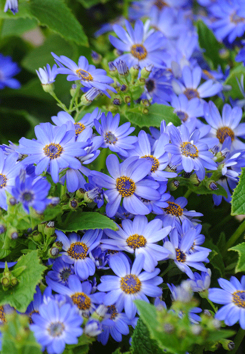 a0001354_23504910.gif