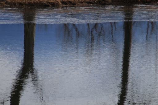 b0168360_19123316.jpg