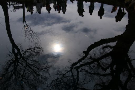 b0168360_19201557.jpg