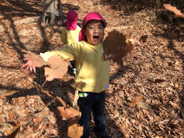 a0051662_15354929.jpeg