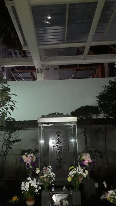 メガネ出っ歯のルーツ(資料追加)、御殿山の桜写真は実在するか(写真情報追加)、ネットニュース比較、体調不良のためあまりなんにもしなかったです;2019/2/13-19twitterまとめ _b0116271_12251311.jpg