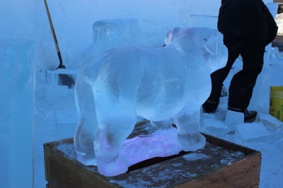 Jack Frost Festival 2019 その2_c0353373_22234726.jpg