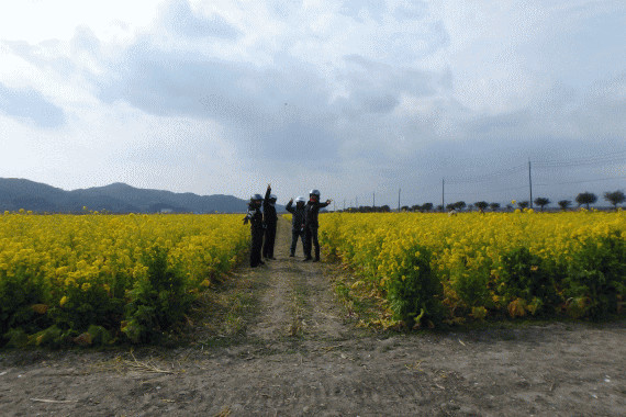 d0377780_15393460.gif