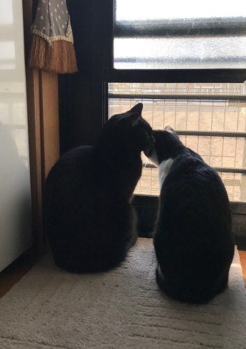 a0216583_23324685.jpeg