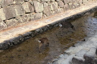 a0233991_09011200.jpg