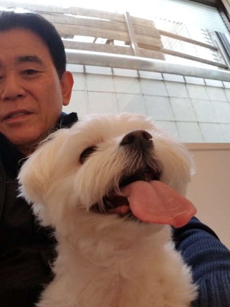 ゆめひろ会議に行きます🎵_e0119092_11341963.jpg