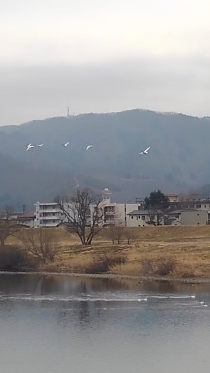 e0392895_14515930.jpg