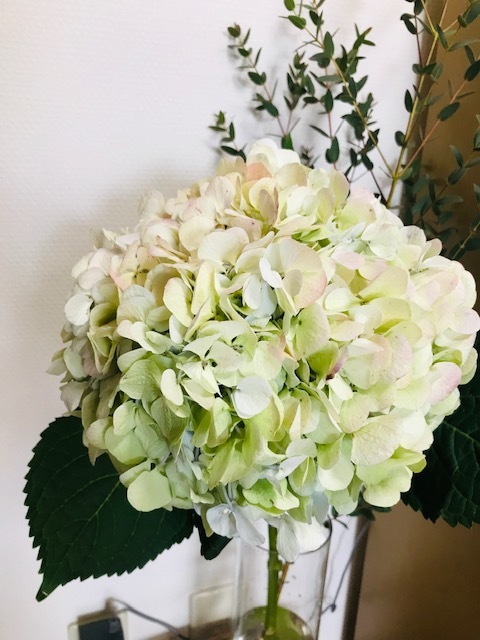 お得な切り花_f0204295_15520440.jpg