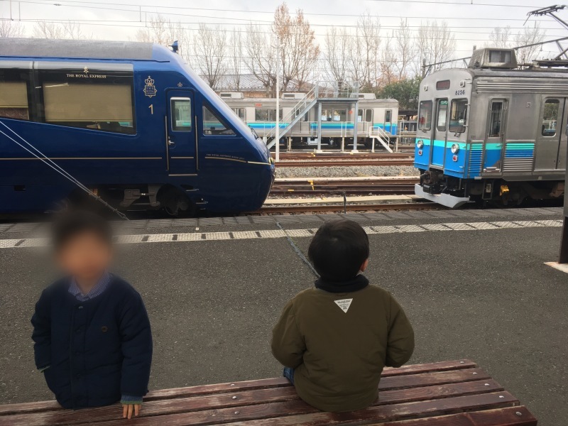 ロイヤルエクスプレスに並ぶマリンエクスプレス踊り子号 子どもと暮らしと鉄道と ロイヤルエクスプレスに並ぶマリンエクスプレス踊り子号 子どもと暮らしと鉄道と