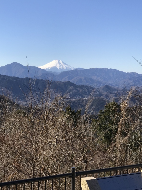 1月9日高尾山初詣登山。_a0155999_08474718.jpeg