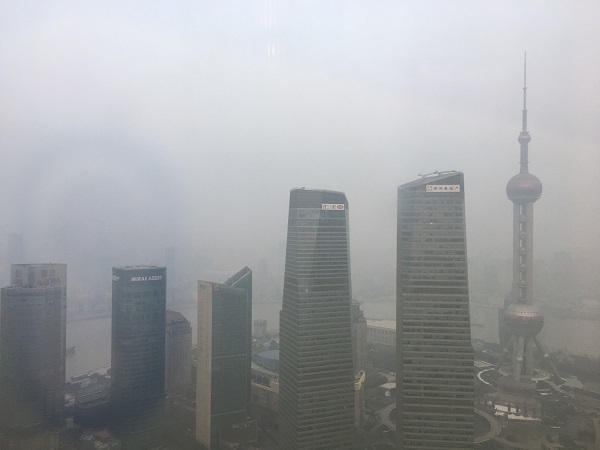 f0080102_18545943.jpg