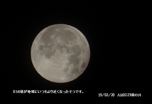 c0051105_10335457.jpg