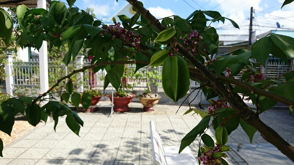 c0170809_21061439.jpg