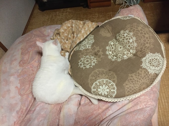 c0180209_02225210.jpeg