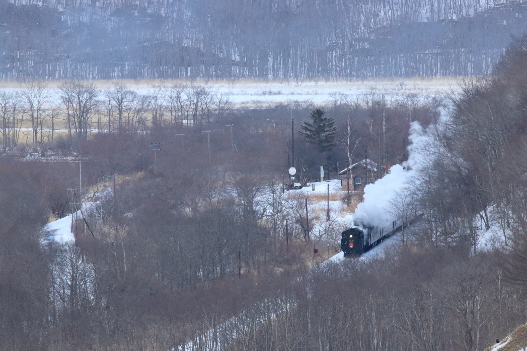 湿原の中の小さな駅を汽車が通過する - 2019年冬・釧網線 -_b0190710_00020227.jpg