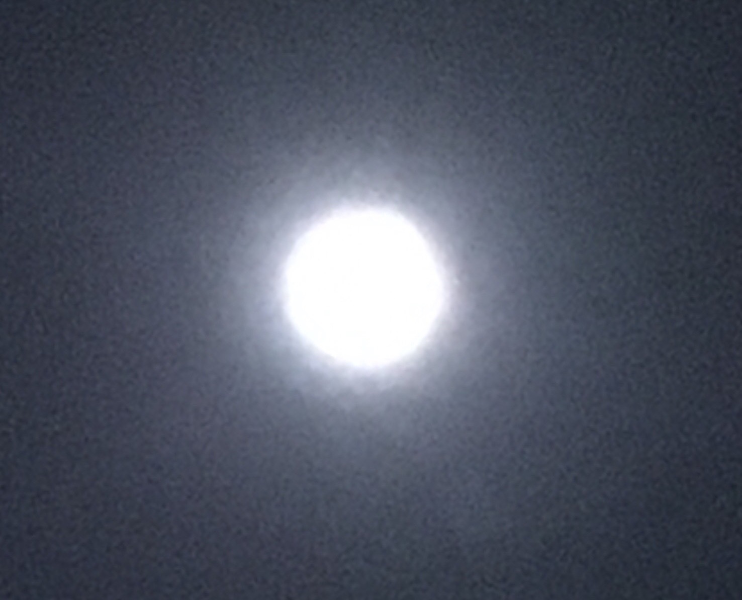 やっぱり「そうだったらいいのにな♪」NO.623_c0102513_01021450.jpeg