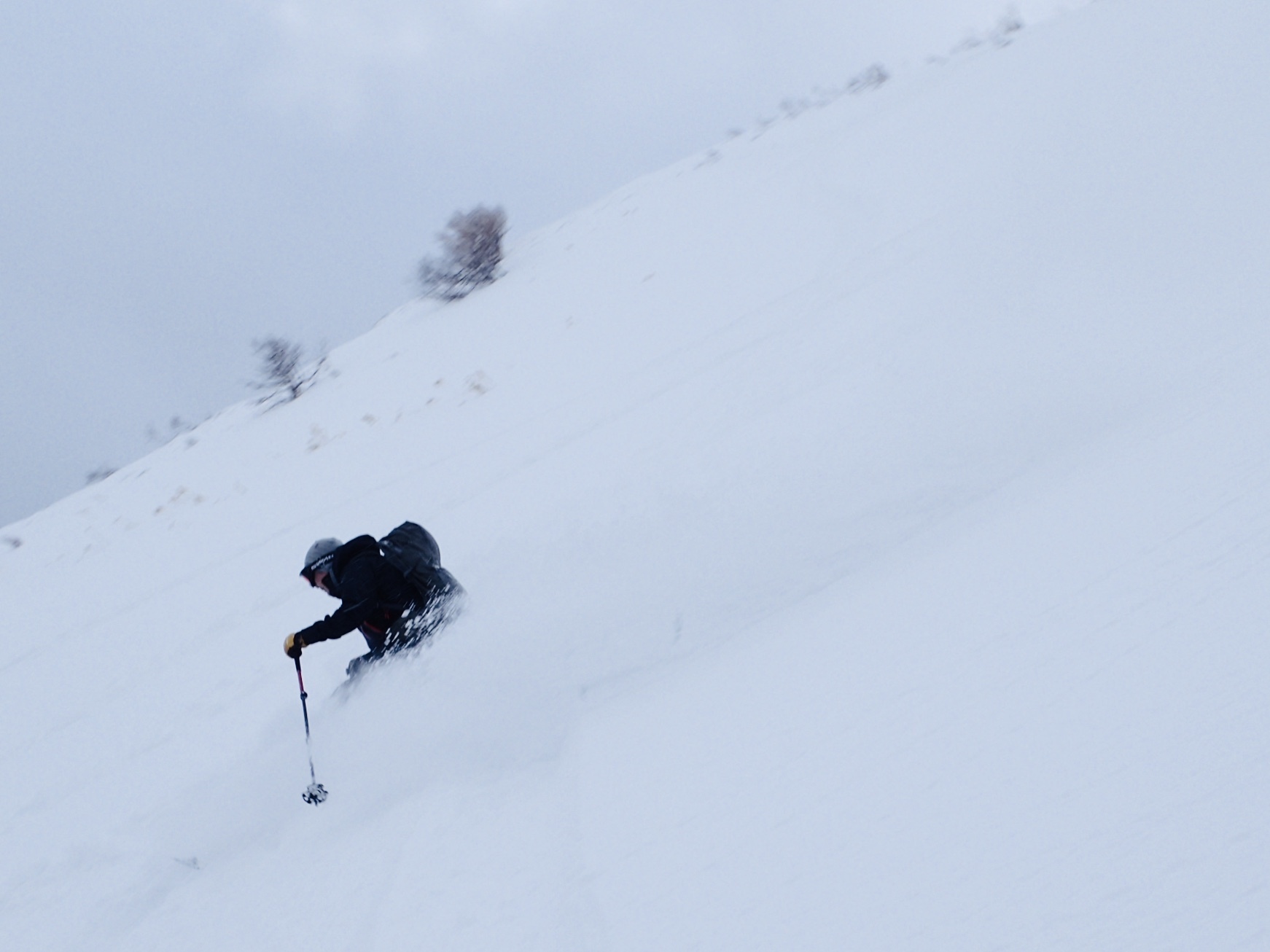 2019年2月『感激、初・冬・利尻、初・島・Pow』February 2019 \"Amazing Powder Snow in Mt Rishiri\"_c0219616_21400536.jpg