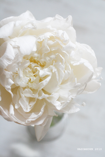 g r a d a t i o n_b0081419_03474285.jpg