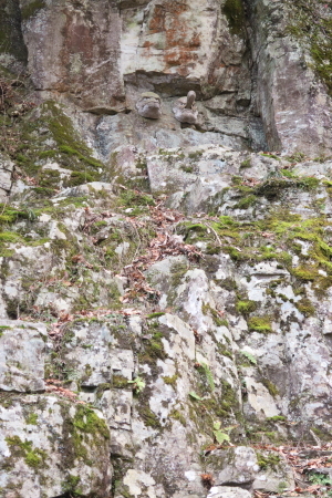 e0133025_21103800.jpg