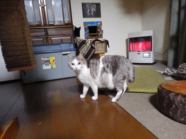 a0337237_14372290.jpg