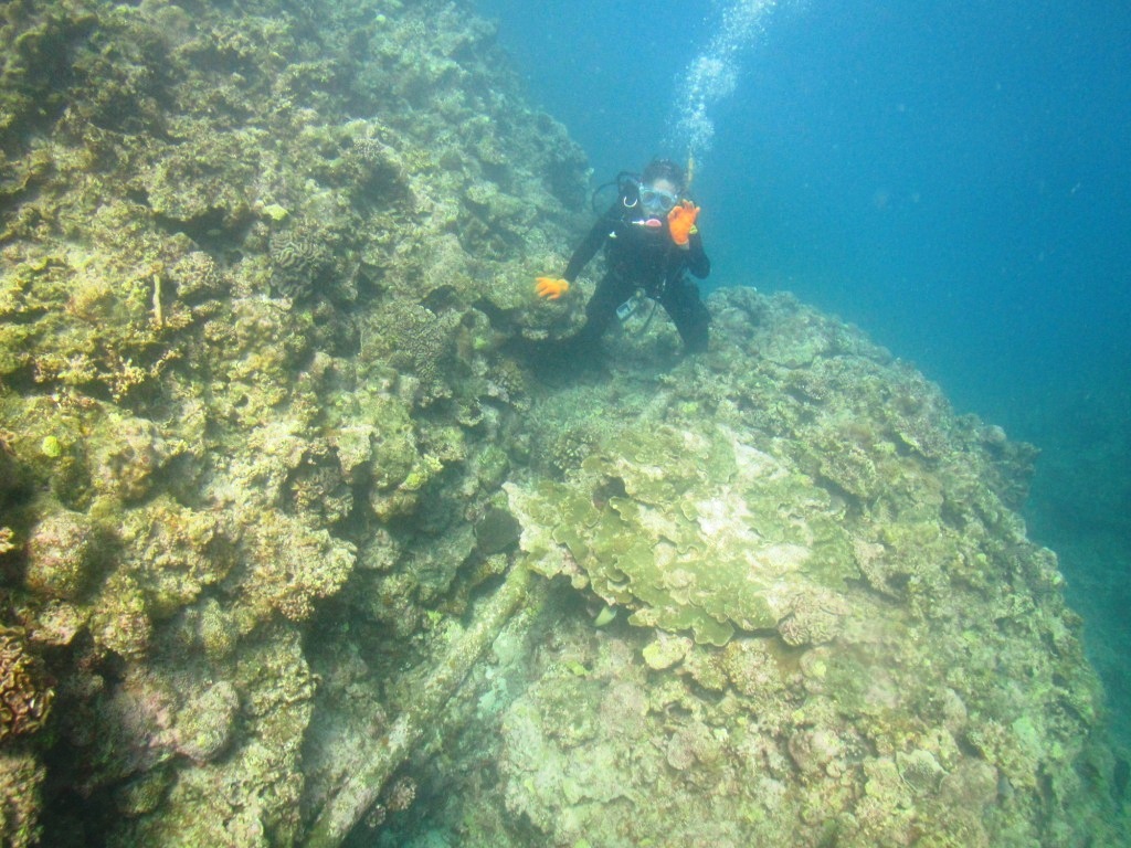 a0189838_18092811.jpg