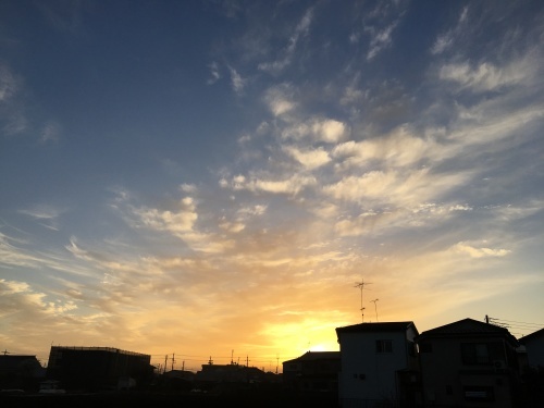 b0330040_22233173.jpeg