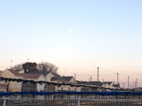 b0330040_22421274.jpeg