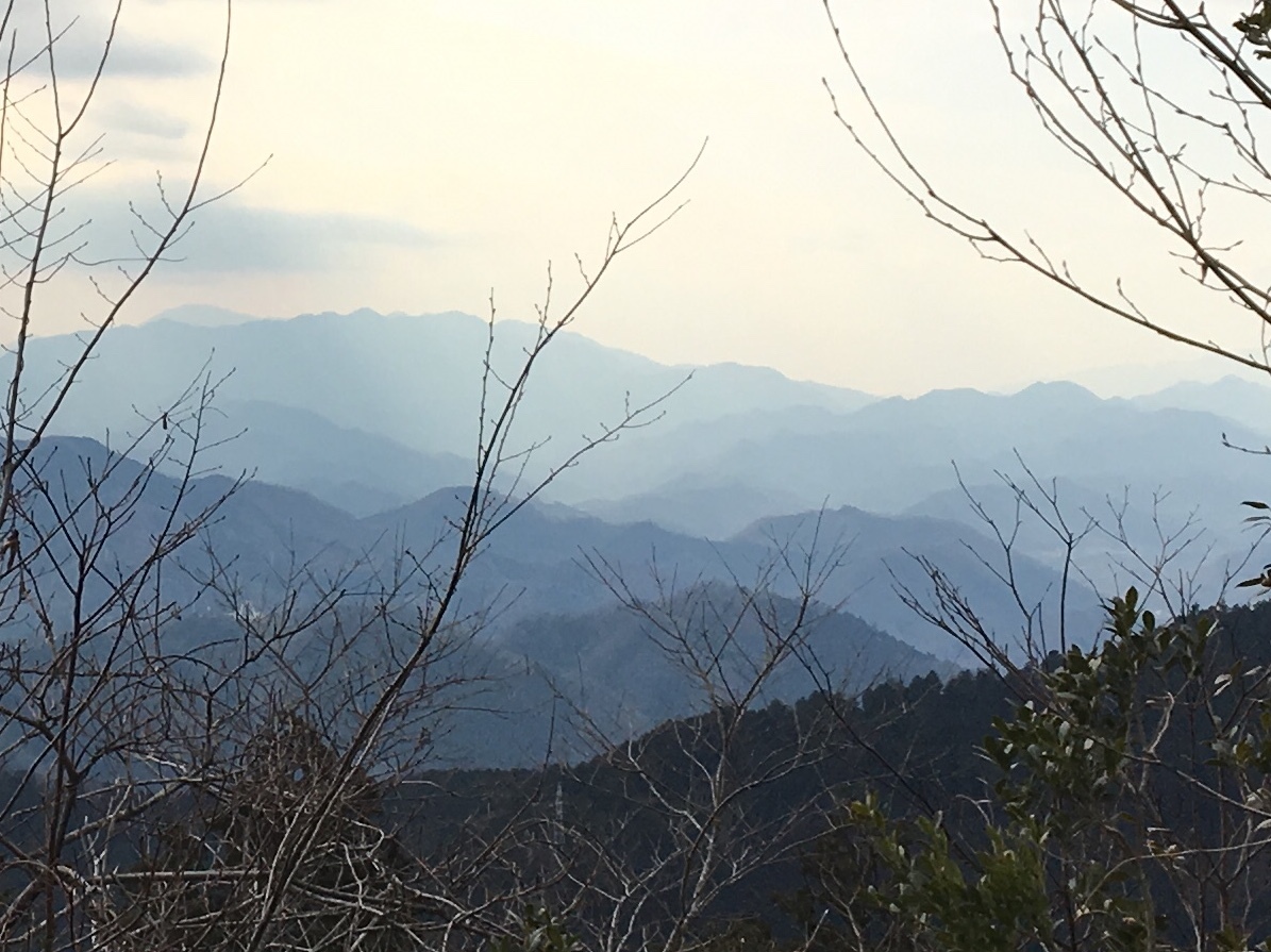 b0330040_23242937.jpeg