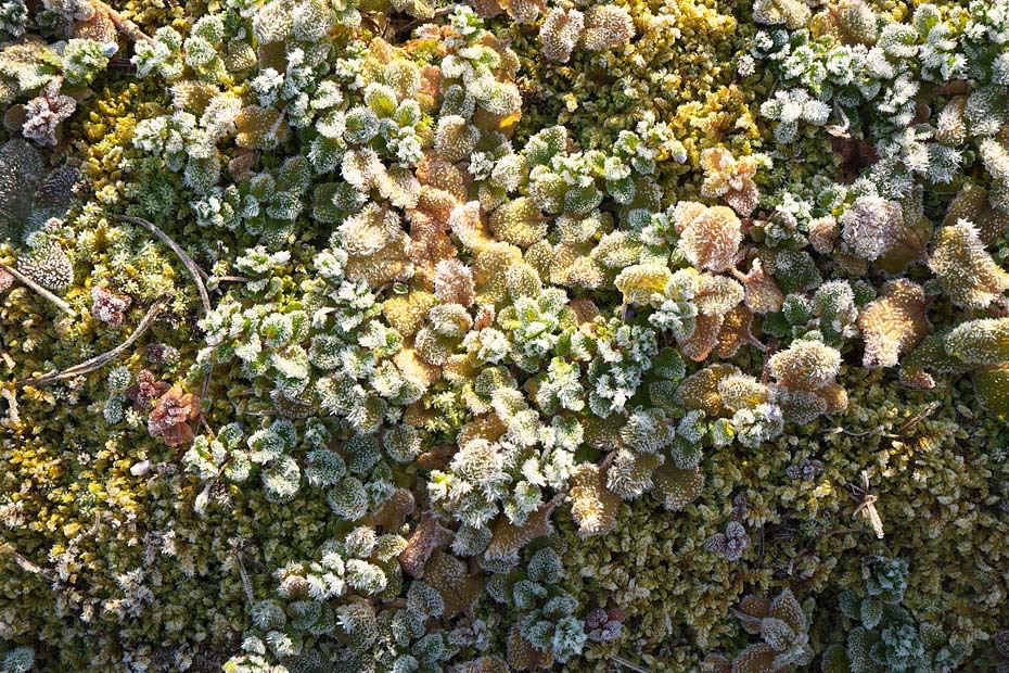 c0067040_23021866.jpg