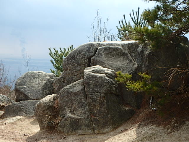 表六甲　天狗岩南尾根　おじさんの休日　2019_f0334143_2261442.jpg