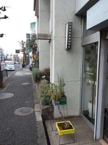奥沢で春をいただく ~D&DEPARTMENT TOKYO~_e0343145_22470217.jpg