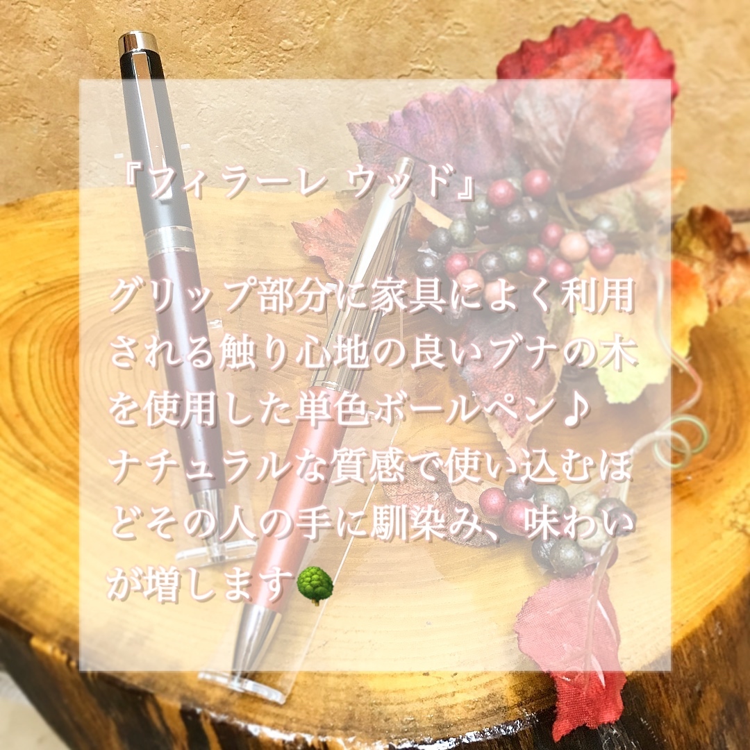 &#127800;ゼブラボールペン名入れ無料キャンペーン&#128395;_e0074148_14462780.jpeg