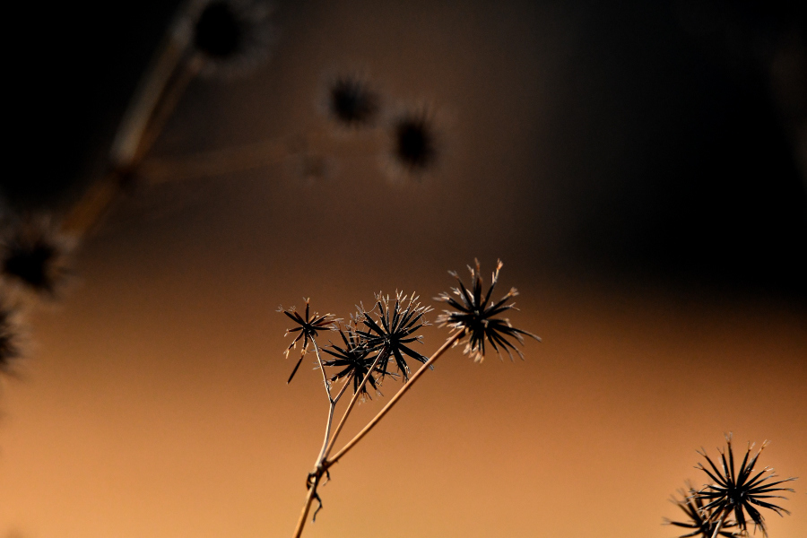 f0185755_17340913.jpg