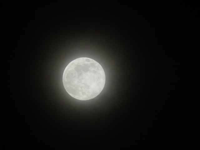 e0354456_09003535.jpg