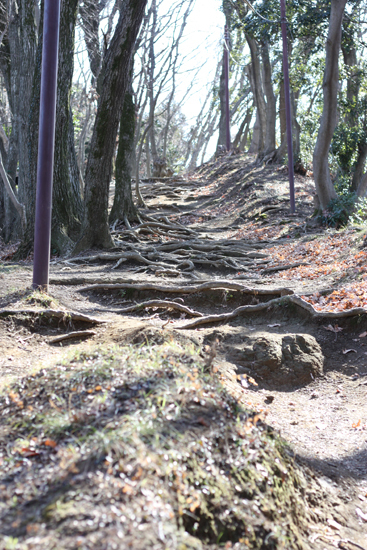 七沢森林公園でウォーキング_a0154957_07314087.jpg