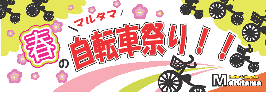 b0339060_17003292.png
